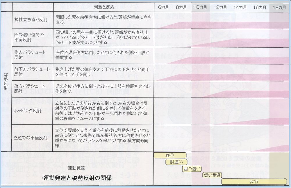 乳児健診 10ヶ月 こどもの疾患 太田東こども おとな診療所 こどもとおとなの病気について 気軽に相談できる診療所です